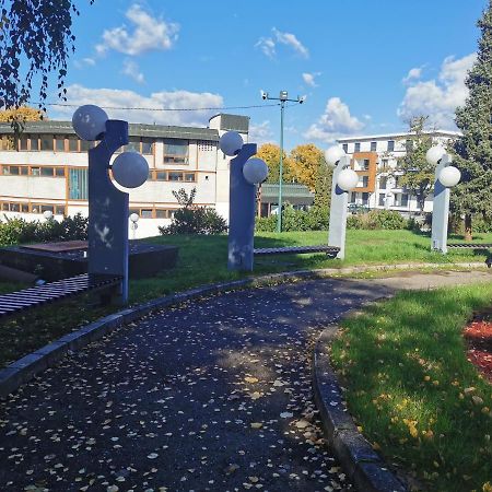 Apartment Ornament Lux Vrnjačka Banja 외부 사진
